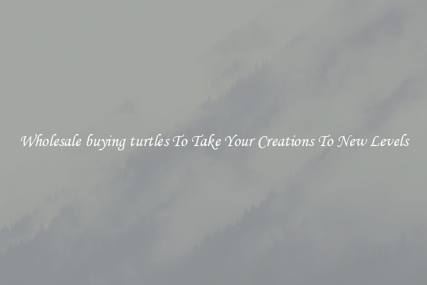 Wholesale buying turtles To Take Your Creations To New Levels