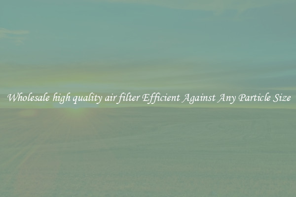 Wholesale high quality air filter Efficient Against Any Particle Size