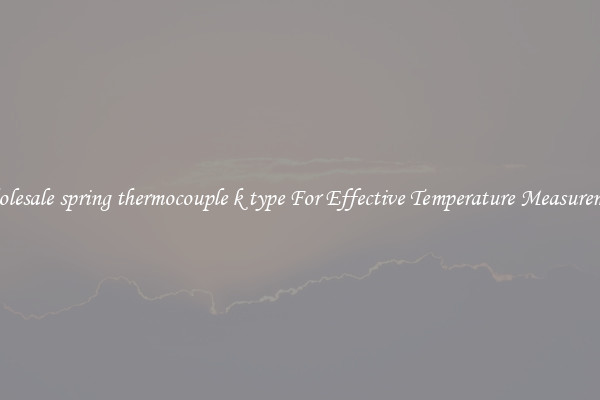 Wholesale spring thermocouple k type For Effective Temperature Measurement