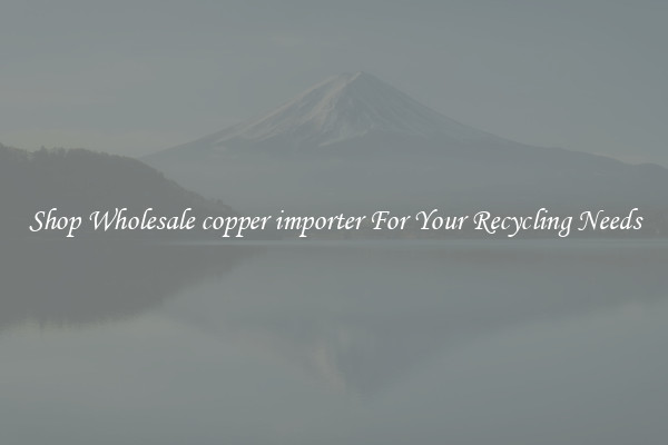 Shop Wholesale copper importer For Your Recycling Needs