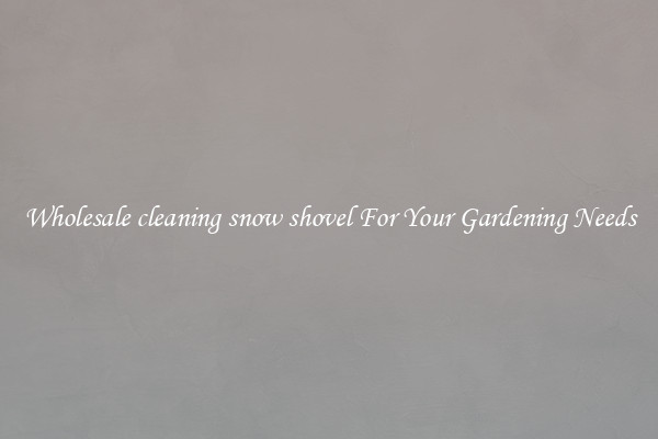 Wholesale cleaning snow shovel For Your Gardening Needs