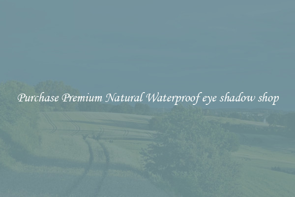 Purchase Premium Natural Waterproof eye shadow shop