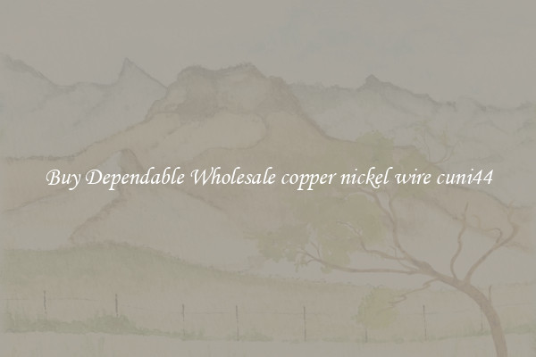 Buy Dependable Wholesale copper nickel wire cuni44