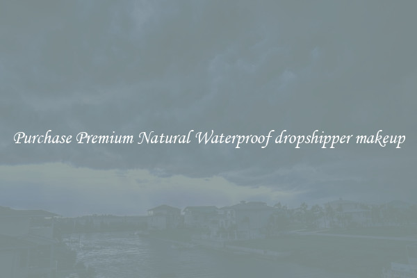 Purchase Premium Natural Waterproof dropshipper makeup