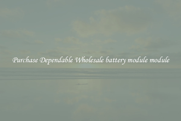 Purchase Dependable Wholesale battery module module