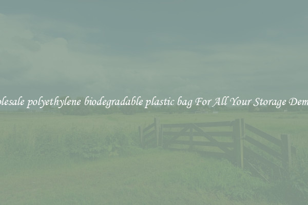 Wholesale polyethylene biodegradable plastic bag For All Your Storage Demands