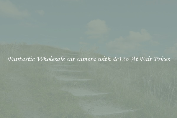 Fantastic Wholesale car camera with dc12v At Fair Prices