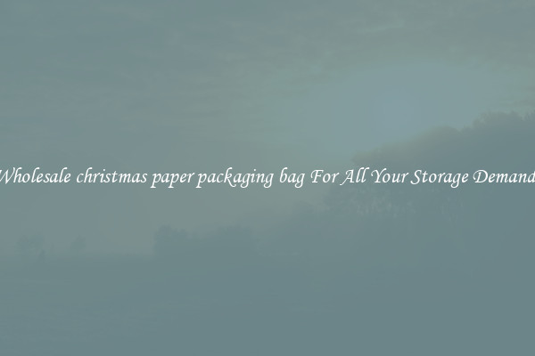 Wholesale christmas paper packaging bag For All Your Storage Demands