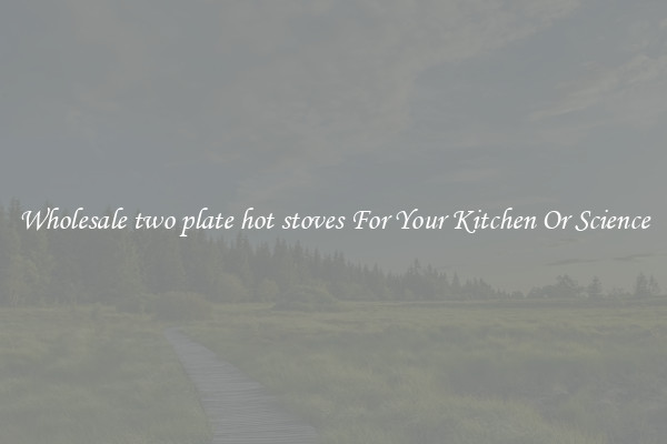 Wholesale two plate hot stoves For Your Kitchen Or Science