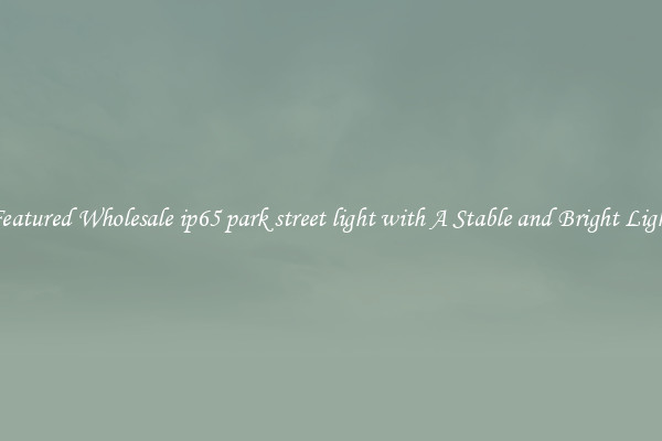 Featured Wholesale ip65 park street light with A Stable and Bright Light