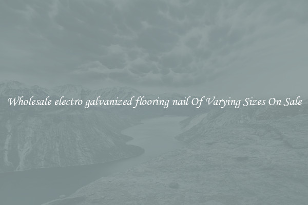 Wholesale electro galvanized flooring nail Of Varying Sizes On Sale