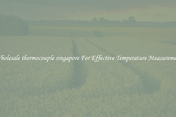 Wholesale thermocouple singapore For Effective Temperature Measurement