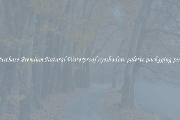 Purchase Premium Natural Waterproof eyeshadow palette packaging pink