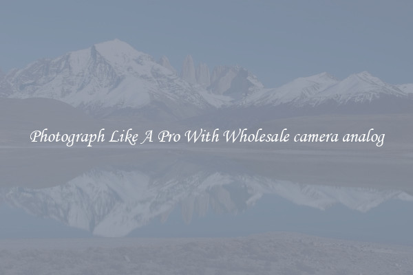 Photograph Like A Pro With Wholesale camera analog