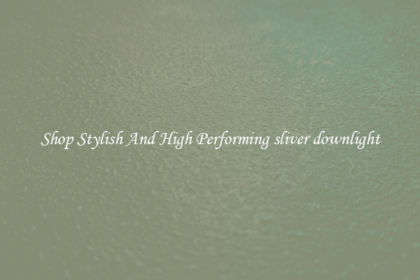 Shop Stylish And High Performing sliver downlight