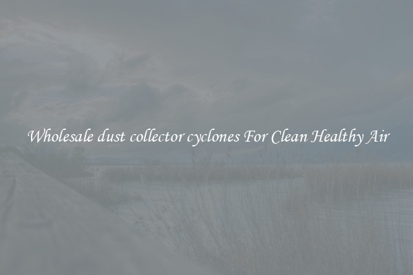 Wholesale dust collector cyclones For Clean Healthy Air