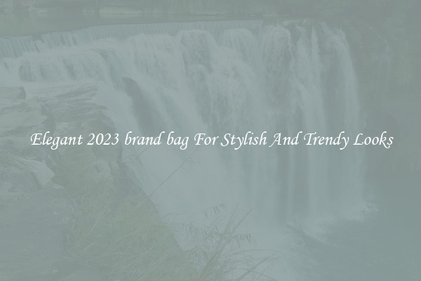 Elegant 2023 brand bag For Stylish And Trendy Looks