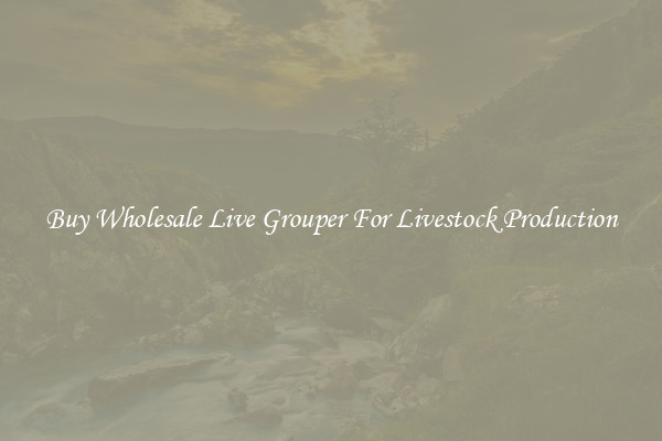 Buy Wholesale Live Grouper For Livestock Production