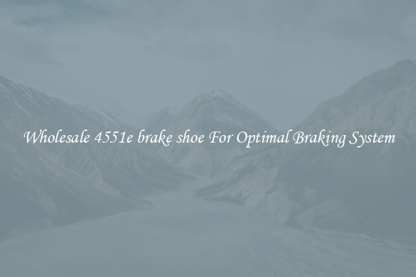 Wholesale 4551e brake shoe For Optimal Braking System