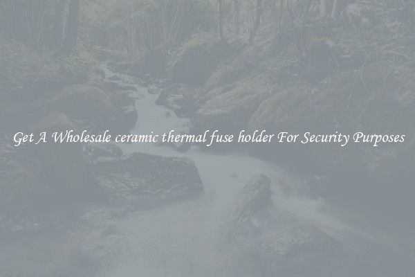 Get A Wholesale ceramic thermal fuse holder For Security Purposes